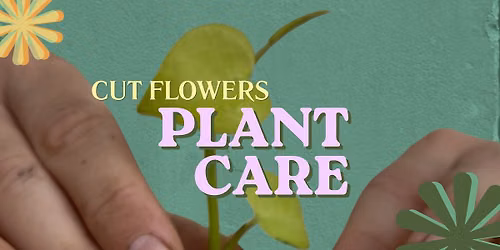 Cut Flowers- Plant Care