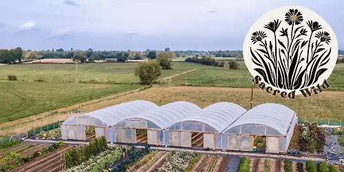 Market Garden Workshop