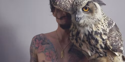 Justin Hawkins Rides Again