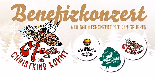 Benefizkonzert - Mega das Christkind kommt #2