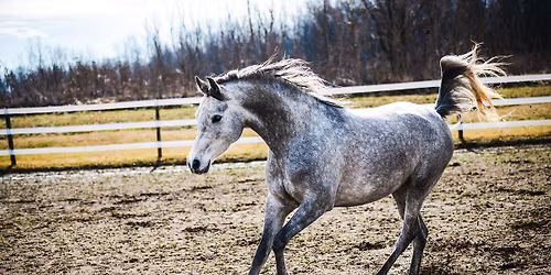 Christmas At The Farm!!