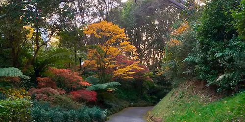 West Way Wander - Guided Walk