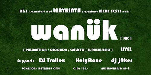 MERE FEST(!) p\u00e5 LABYRINTH med WAN\u00dcK (Live!)