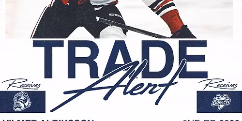 Guelph Storm vs. Brampton Steelheads