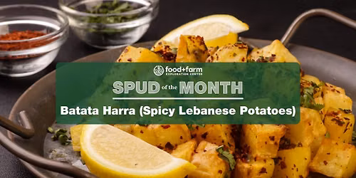 Spud of the Month Cooking Club: Batata Harra (Spicy Lebanese Potatoes)