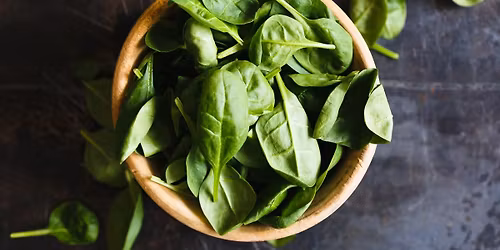 Za bylinkami do zahrady: BAZALKA