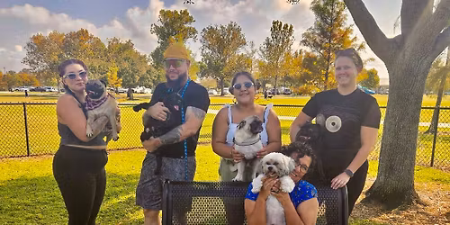 December Pug Meet-Up