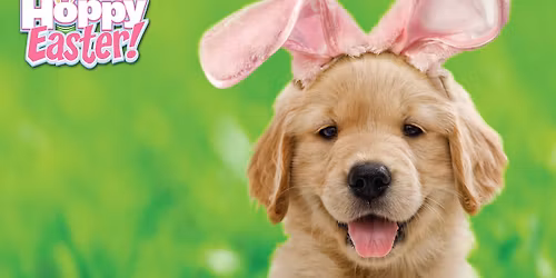 \ud83d\udc30\ud83c\udf37Pet Photos with the Easter Bunny! \ud83d\udc30\ud83c\udf37