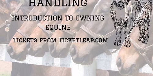 Intro to Owning Horses