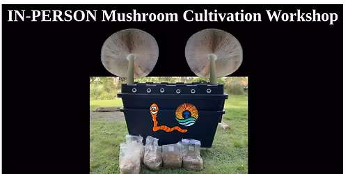 Bagasse Cultivation in Compost