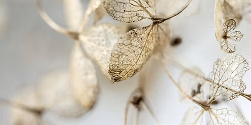 Grief, Identity, and Values: Reorienting After Loss