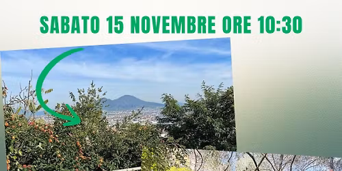 Il parco viviani \u00e8 di tutti: riaprite le porte alla comunit\u00e0! 