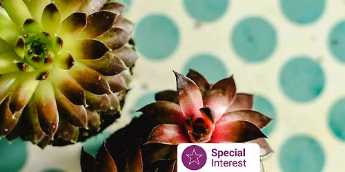 Libraries After Dark: Garden Art with Kaye