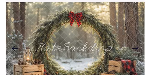 Christmas Mini Sessions