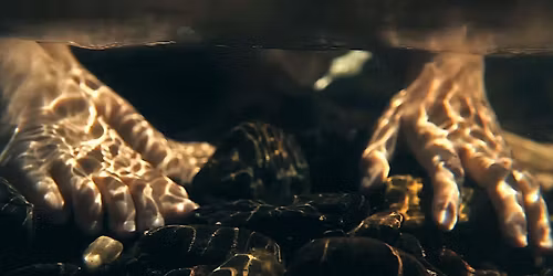 IN THE WAVES (2017) with Jacquelyn Mills at AMS Hall