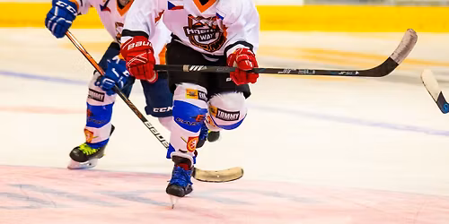 Jednodenn\u00ed kemp - 3 v 1 ve spolupr\u00e1ci s Czech Dragons