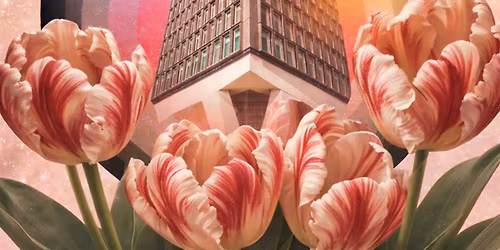 Madam Amsterdam presents Nomadism Records 