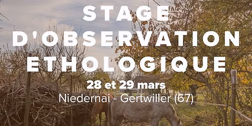 Stage d'observation \u00e9thologique