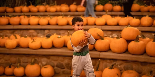 Great Fall Kickoff Festival
