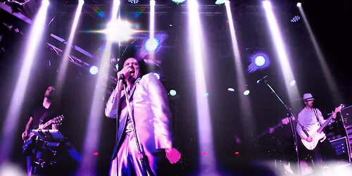 The Hip Experience