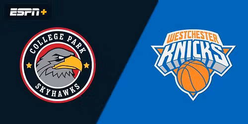 College Park Skyhawks at Westchester Knicks