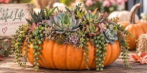 Pumpkin Arrangement Workshop
