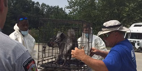 Class - Biosecurity in Animal Response Operations & Planning