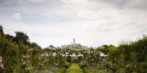 Summer Open Garden Day 