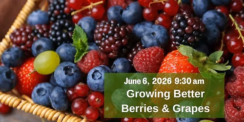 Free Garden Class: Growing Better Berries and Fruits
