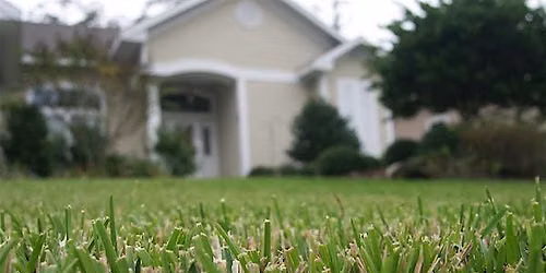 LIMITED PESTICIDE APPLICATOR REVIEW AND CEUS