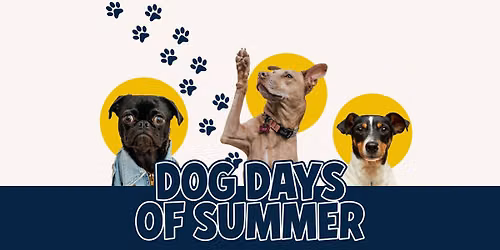 Dog Days of Summer 