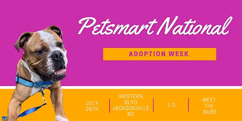 Adopt Joy 