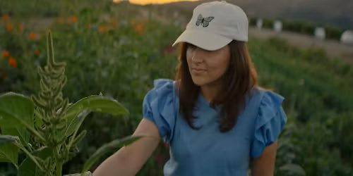 Music Video Premiere Party!  A Story of Hope: Es As\u00ed by Anessa