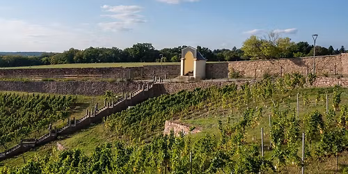 4. Treppentraining - Mt. Everest Treppenmarathon f\u00fcr 2026 - offenes Training