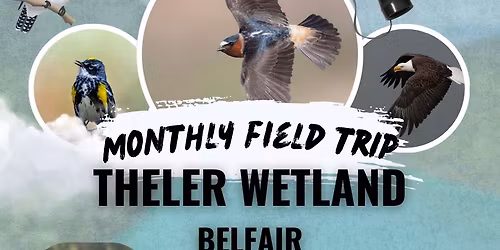 May Field Trip: Theler Wetlands, Belfair