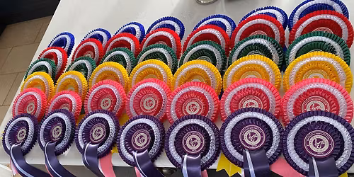 Open to all! Brocklesby Hunt Pony Club winter league show jumping competition 