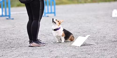 Dobbelt rallylydighetsstevne