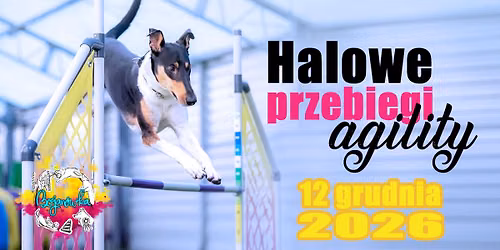 Halowe treningowe przebiegi agility 2026\/27 - GRUDZIE\u0143