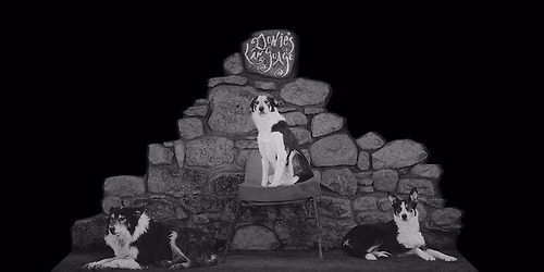 The Collie, The Cheviot & The Crouched Skeleton by Orla Barry | Launch