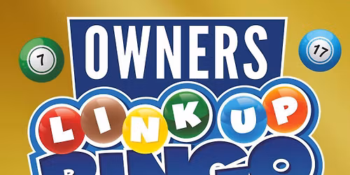Owners Link Up Bingo 