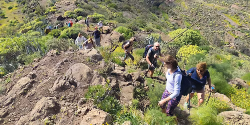 Festival de Senderismo Carrizal de Tejeda