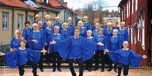 Alls\u00e5ng med Aros Ladies