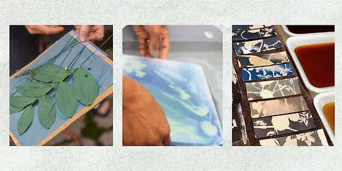 Art & AgriCulture: Toning Cyanotypes with Food Scraps & Culinary Herbs