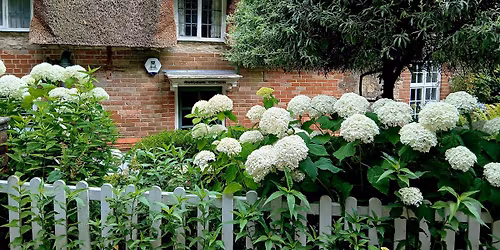 Bajk\u00e1n L\u00e1szl\u00f3 - Titkos Anglia