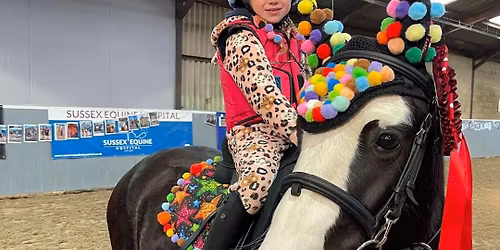Children in Need Indoor Fun Showing and Mini Jumping Show