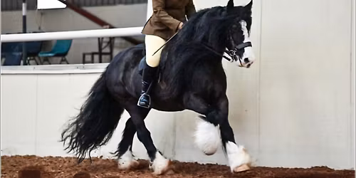 MSRC Open Fun Showing Show - Sunshine Tour Qualifier 