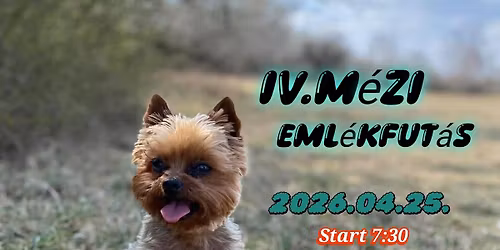 IV. M\u00e9zi Eml\u00e9kfut\u00e1s 