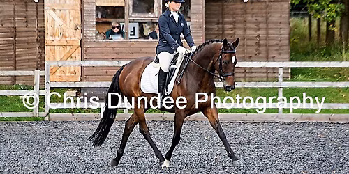BD\/MQ\/TQ & Unaffiliated Dressage Competition