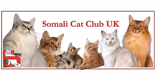 GCCF - SUPREME CAT SHOW!