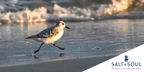 Wings & Waves: A Mindful Birding Retreat